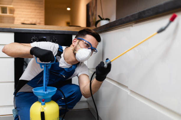 Best Wasp Removal Services  in St Martinville, LA
