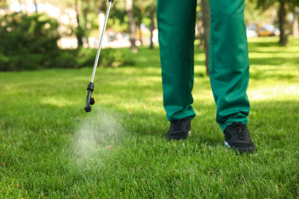 Best Mosquito Control Services  in St Martinville, LA