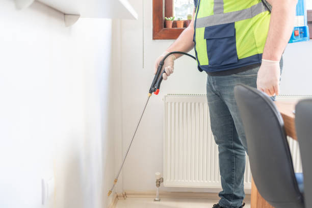 Best Pest Control for Homes  in St Martinville, LA