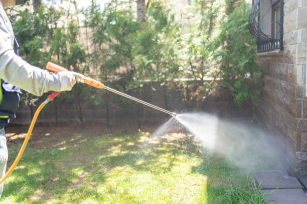 Best Best Pest Control Companies  in St Martinville, LA