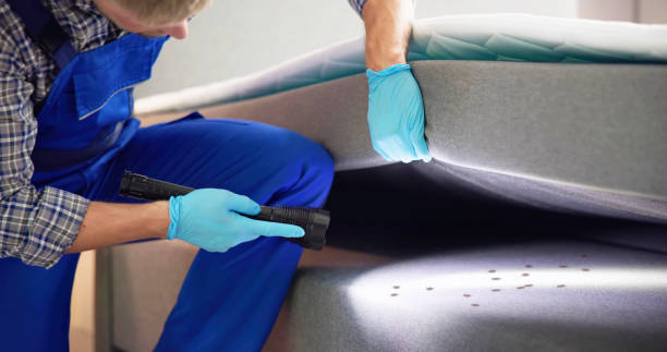 Best Wasp Removal Services  in St Martinville, LA