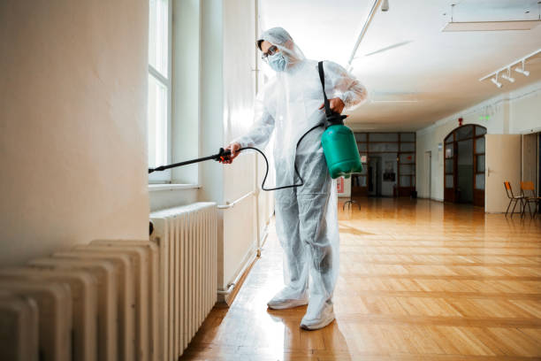 Best Pest Inspection Near Me  in St Martinville, LA