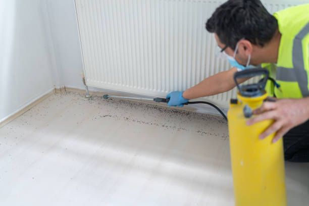 Best Pest Prevention Services  in St Martinville, LA