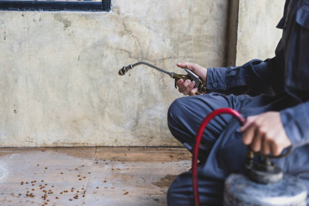 Best Pest Control Near Me in St Martinville, LA