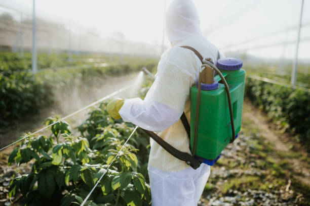 Pest Control for Restaurants in St Martinville, LA